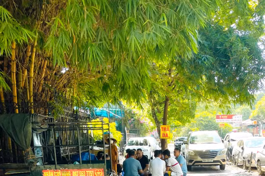 Trà đá vỉa hè - Nơi khơi nguồn những câu chuyện đời đầy thú vị