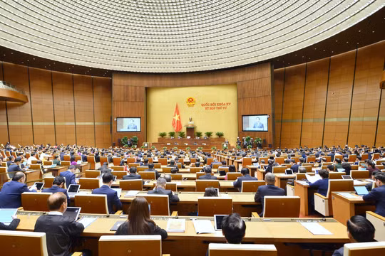 Cho những quyết sách đúng!