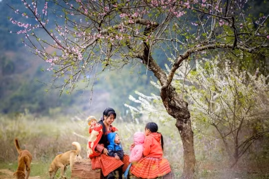 Sắc xuân miền Tây Bắc