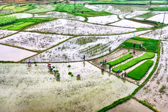 EVN hoàn thành tốt việc cấp nước cho sản xuất nông nghiệp vụ Đông Xuân