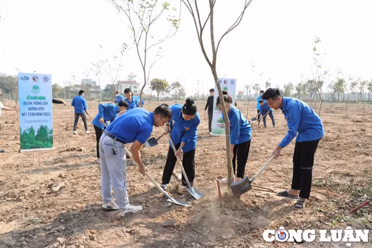 Khởi động dự án trồng cây xanh, mục tiêu đến 2050 phát thải ròng giảm bằng '0'