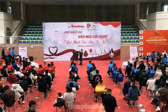 Báo Tiền Phong tổ chức ngày hội nhân ái san sẻ giọt máu nghĩa tình