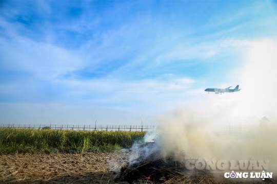 Hà Nội đề xuất ban hành quy định xử lý hành vi đốt rơm rạ