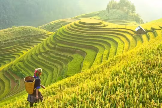 Báo Ấn Độ nói về 'thiên đường hạ giới' ở Việt Nam