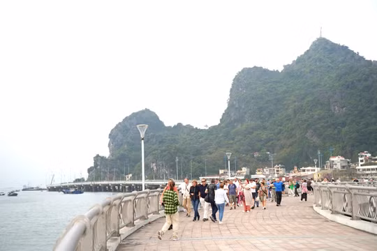 Quảng Ninh khơi thông thị trường khách du lịch quốc tế