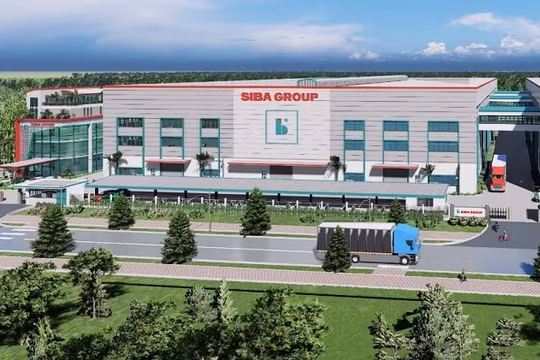 Siba Group (SBG) phát hành cổ phiếu ngay sau khi niêm yết 1 tháng