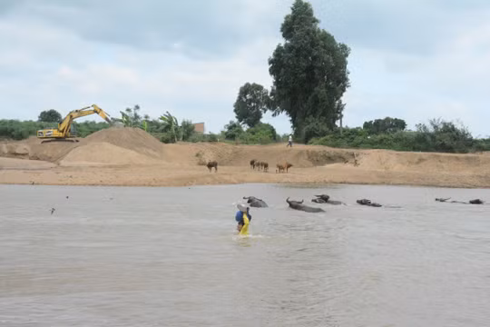 Gia Lai: Hàng trăm hộ dân bất chấp tính mạng lội qua dòng nước dữ để mưu sinh