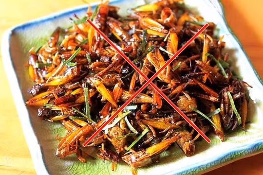Phú Thọ: Nam thanh niên bị sốc phản vệ sau khi ăn châu chấu