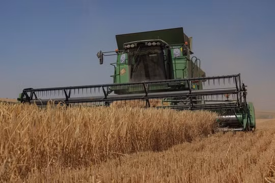 Liên hợp quốc đề nghị Nga gia hạn thỏa thuận ngũ cốc đổi lấy quyền kết nối SWIFT