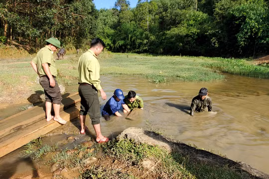 Thanh Hoá: Hạt Kiểm lâm huyện Thường Xuân khẳng định có tình trạng phá rừng lấy gỗ trái pháp luật