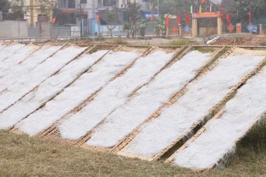 Hà Nội: Về làng So khám phá quy trình sản xuất miến dong truyền thống