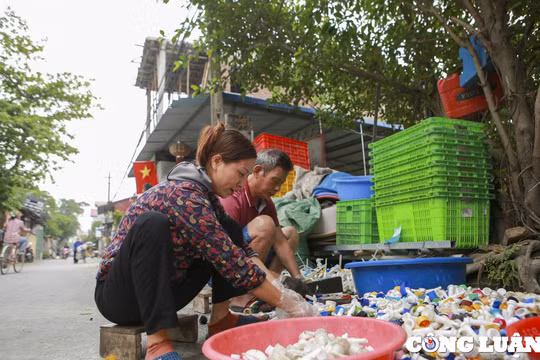 Phụ nữ giữ vai trò chủ đạo trong việc thu gom, phân loại và tái chế rác thải nhựa
