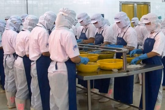 CTCP Đầu tư Thương mại Thuỷ sản (ICF) bị Uỷ ban Chứng khoán Nhà nước xử phạt 85 triệu đồng