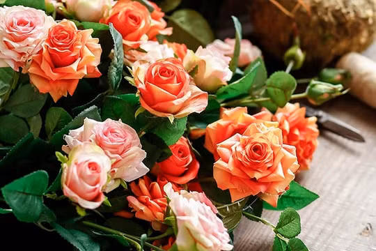 Chỉ còn tình người mãi đọng