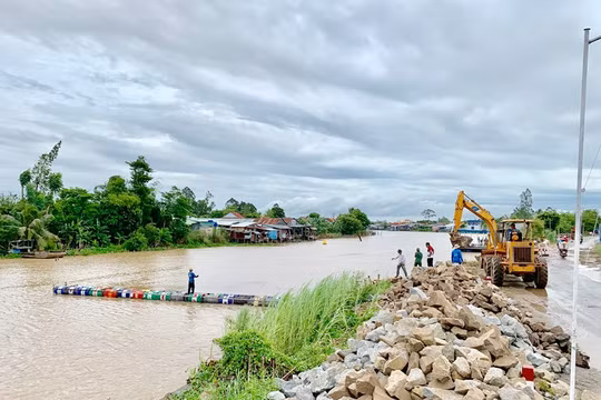 Bổ sung vốn cho miền Tây chống sạt lở