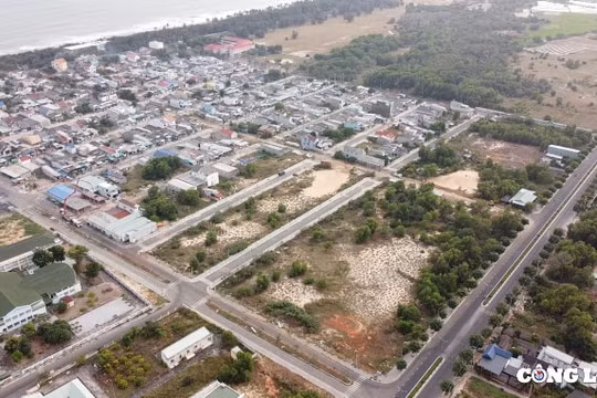Giám đốc Sở TNMT tỉnh Bà Rịa - Vũng Tàu liên quan thế nào trong vụ giao đất sai tại huyện Đất Đỏ?