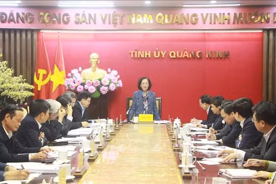 Quảng Ninh tập trung cao độ cho công tác xây dựng, chỉnh đốn Đảng