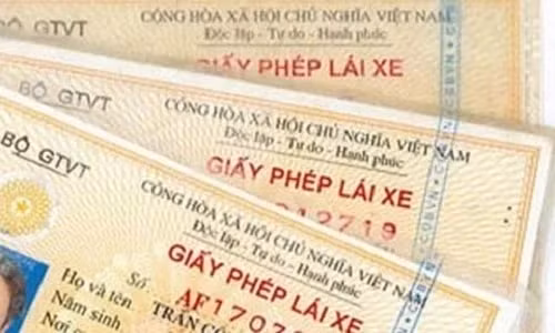 Nghệ An phát hiện 43 tài xế dùng giấy phép lái xe giả