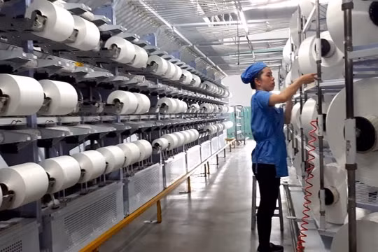 Sợi Thế Kỷ (STK) kinh doanh đi lùi, rót vốn 300 tỷ đồng vào công ty con