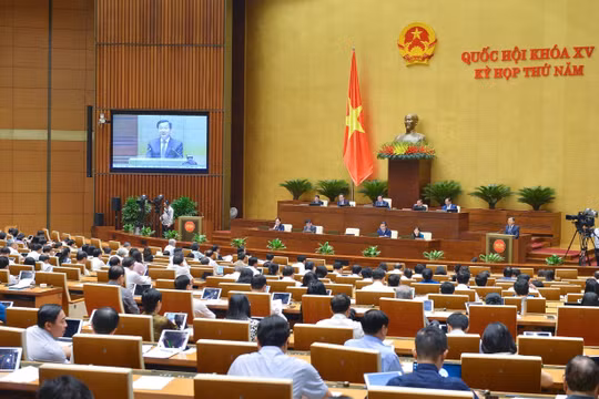 Thay thế hoặc điều chuyển đối với cán bộ, công chức né tránh, đùn đẩy, thiếu trách nhiệm
