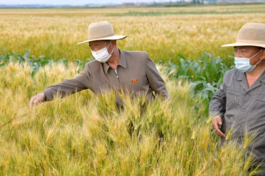 Triều Tiên sẽ tăng nhập lương thực từ Trung Quốc?