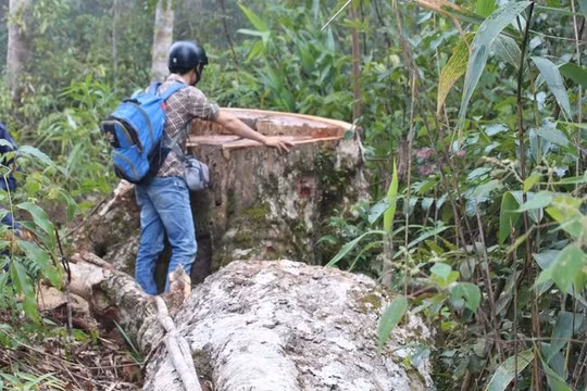 Rèn luyện kỹ năng, bảo vệ hoạt động tác nghiệp hợp pháp - Vấn đề quan trọng đối với mỗi nhà báo