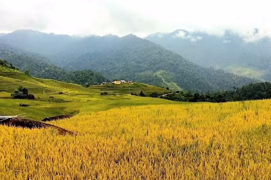 Du lịch Dần Thàng - Điểm đến tiềm năng của Lào Cai