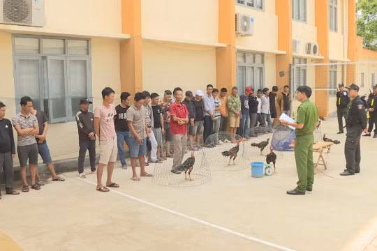 Công an tỉnh Đắk Lắk triệt phá trường đá gà quy mô lớn, tạm giữ 34 đối tượng