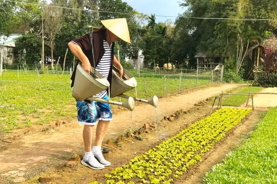 Lộc Yên (Quảng Nam) xây dựng, phát triển du lịch nông thôn