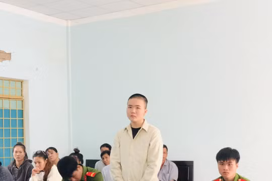 Gia Lai: Mâu thuẫn từ việc gọi điện để gặp anh trai, thiếu niên đâm chết người