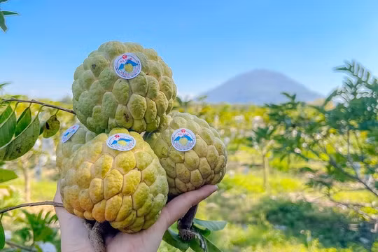 Tây Ninh gắn phát triển sản phẩm truyền thống với phát triển du lịch