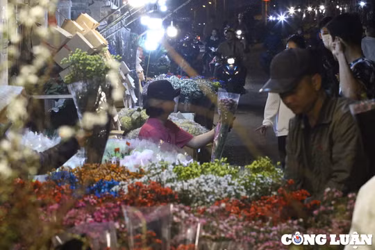 Chợ hoa Quảng Bá: Nhộn nhịp những ngày cận Tết Nguyên đán 2023