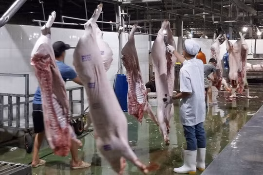 Tăng cường thanh tra, kiểm tra đột xuất cơ sở giết mổ động vật