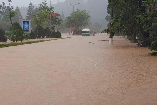 Sơn La: Mưa lớn kéo dài gây ngập úng, cuốn trôi nhiều gia súc