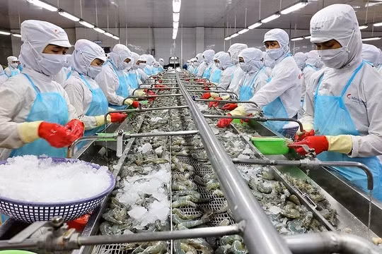 Xuất khẩu thủy sản sẽ cán đích 10 tỷ USD