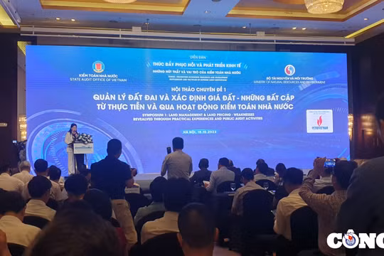 Xác định giá đất: Đến kiểm toán cũng gặp khó
