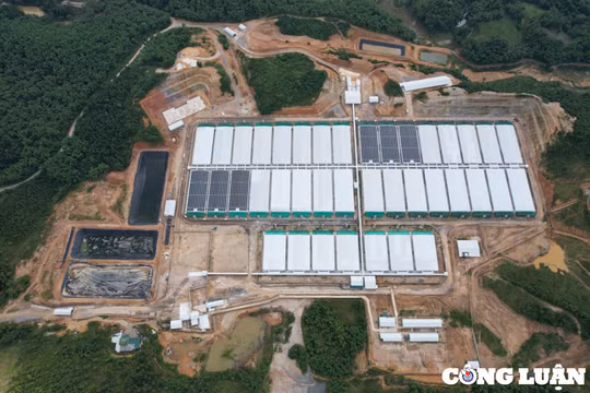 Trang trại nuôi lợn của Công ty CP đầu tư nông nghiệp Agri-Vina bị phạt 70 triệu đồng