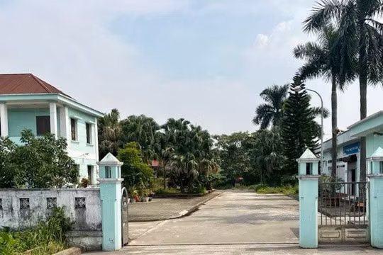 Công ty CP Viwaseen6: Sử dụng giấy phép hết hạn để khai thác tài nguyên