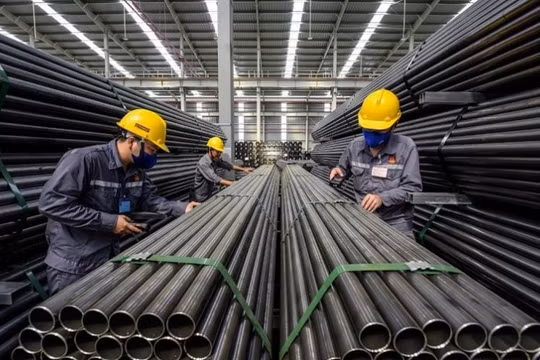 Bắt đầu điều tra doanh nghiệp năm 2023