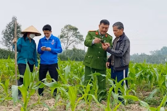 Tăng cường hỗ trợ người dân khi bỏ sổ hộ khẩu, sổ tạm trú giấy