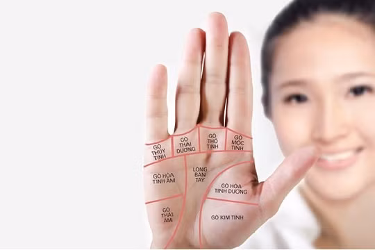 Những vị trí nốt ruồi trong lòng bàn tay mang lại may mắn