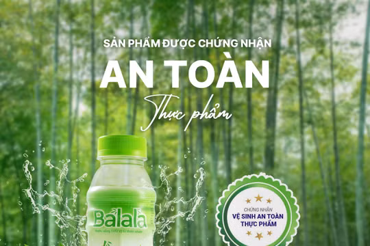 Balala, nước uống lá tre từ thiên nhiên Việt Nam