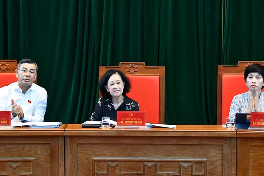 Cử tri kiến nghị bảo đảm chế độ, chính sách cho người hoạt động không chuyên trách tại thôn, xóm