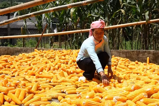 Một bài thơ sâu sắc, chân thành, cảm động!