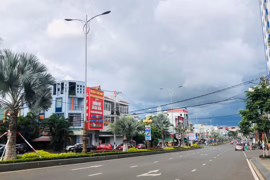 Gia Lai: Phát hiện sai phạm hơn 4,6 tỷ đồng tại TP Pleiku