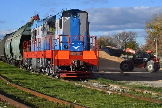 Ba Lan mở rộng lệnh cấm đối với ngũ cốc Ukraine