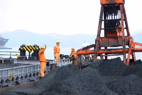 Việt Nam chi 4,3 tỷ USD nhập khẩu gần 30 triệu tấn than