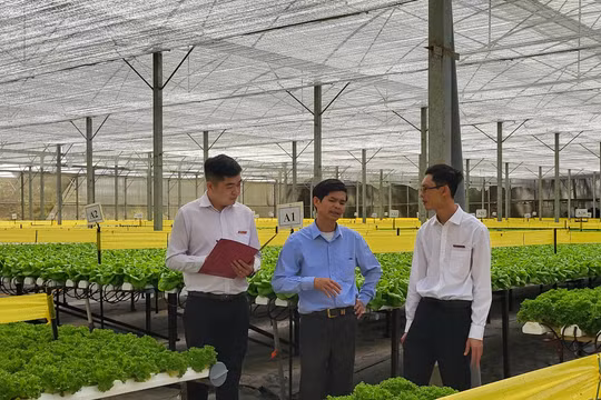 Agribank tiếp tục khẳng định vai trò chủ lực đối lĩnh vực nông nghiệp nông thôn