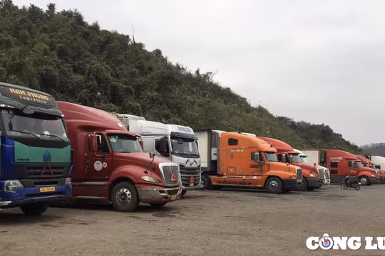 7 tháng, kim ngạch xuất nhập khẩu qua cửa khẩu Lào Cai đạt hơn 1,2 tỷ USD