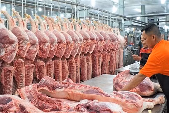Sản lượng thịt lợn của Việt Nam đứng thứ 6 thế giới